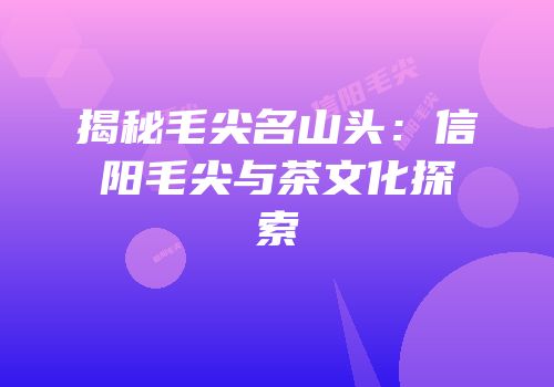 揭秘毛尖名山头：信阳毛尖与茶文化探索