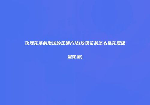 玫瑰花茶的泡法的正确方法(玫瑰花茶怎么选花冠还是花蕾)