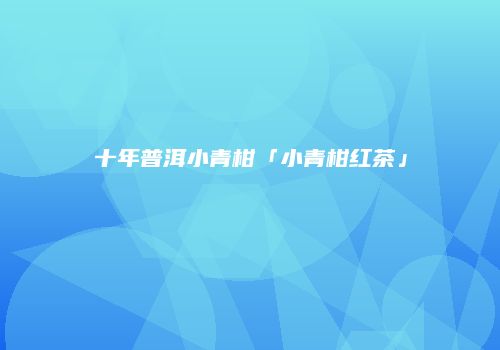 十年普洱小青柑「小青柑红茶」