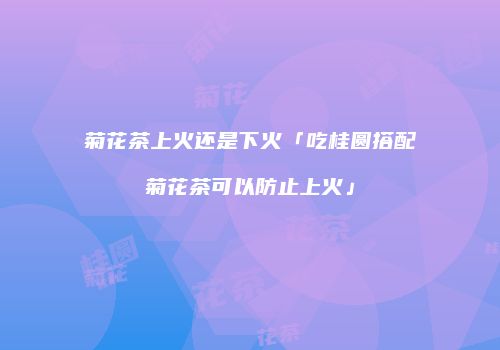 菊花茶上火还是下火「吃桂圆搭配菊花茶可以防止上火」