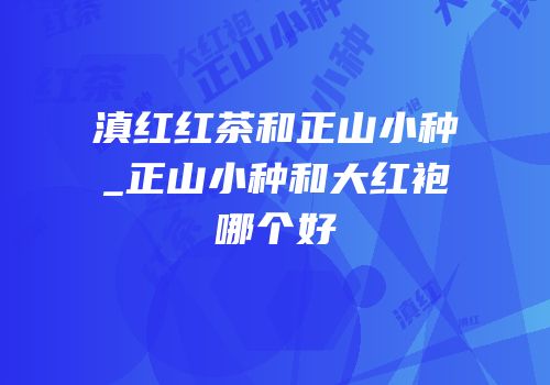滇红红茶和正山小种_正山小种和大红袍哪个好