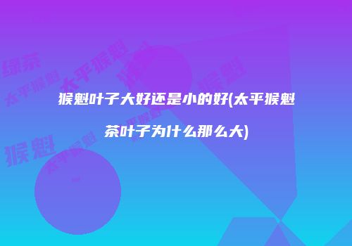猴魁叶子大好还是小的好(太平猴魁茶叶子为什么那么大)