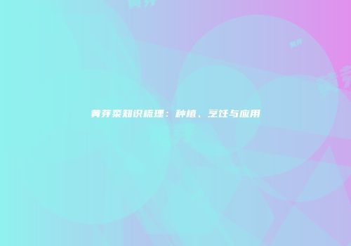 黄芽菜知识梳理：种植、烹饪与应用