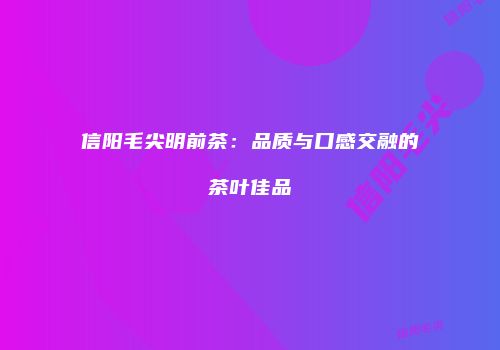 信阳毛尖明前茶：品质与口感交融的茶叶佳品