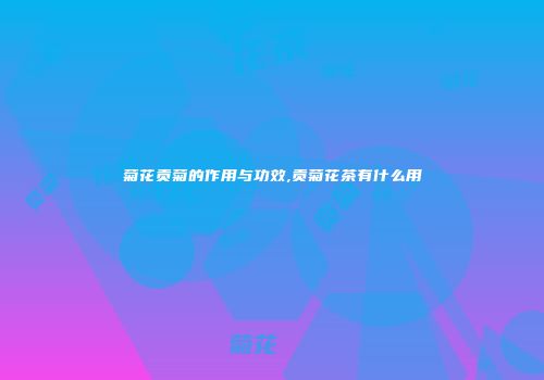 菊花贡菊的作用与功效,贡菊花茶有什么用