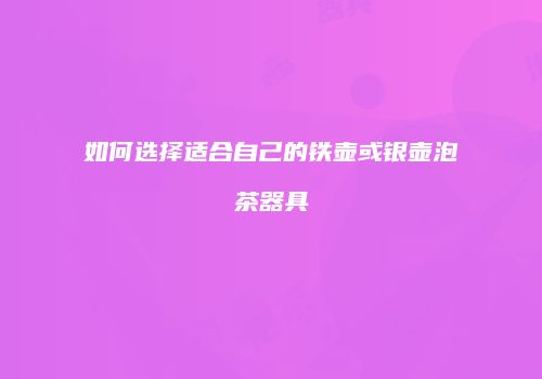如何选择适合自己的铁壶或银壶泡茶器具