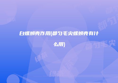 白螺蛳壳作用(都匀毛尖螺蛳壳有什么用)