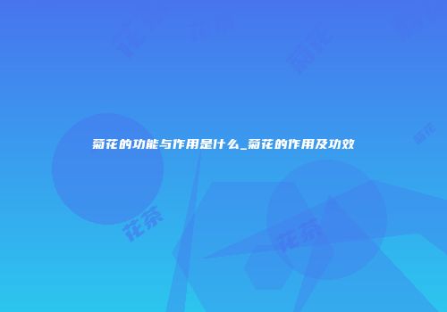 菊花的功能与作用是什么_菊花的作用及功效