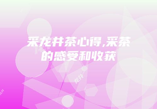 采龙井茶心得,采茶的感受和收获