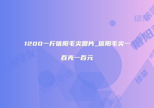 1200一斤信阳毛尖图片_信阳毛尖一百克一百元