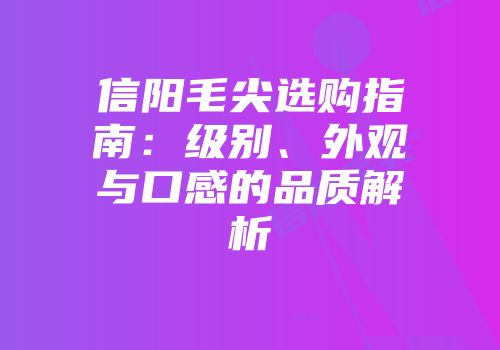 信阳毛尖选购指南：级别、外观与口感的品质解析