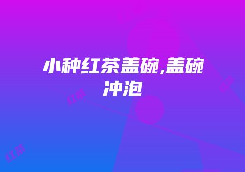 小种红茶盖碗,盖碗冲泡
