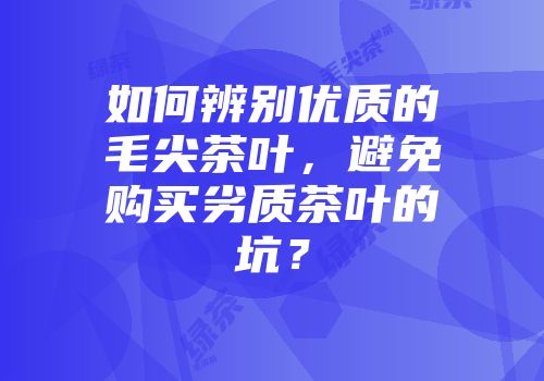 如何辨别优质的毛尖茶叶，避免购买劣质茶叶的坑？