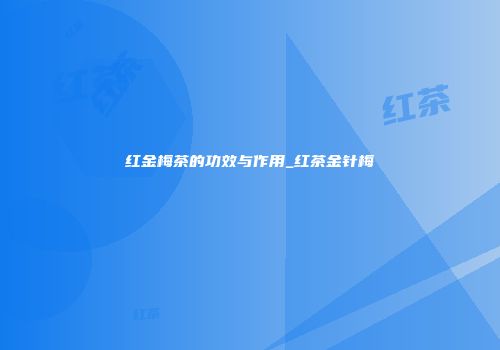 红金梅茶的功效与作用_红茶金针梅