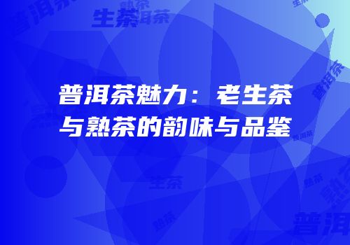 普洱茶魅力：老生茶与熟茶的韵味与品鉴