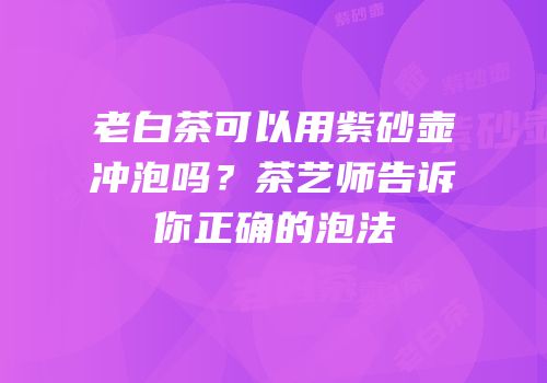 老白茶可以用紫砂壶冲泡吗？茶艺师告诉你正确的泡法