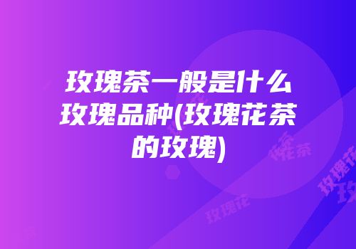 玫瑰茶一般是什么玫瑰品种(玫瑰花茶的玫瑰)
