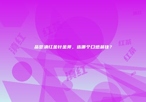 品尝滇红金针金芽，选哪个口感最佳？