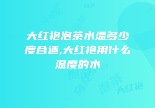 大红袍泡茶水温多少度合适,大红袍用什么温度的水