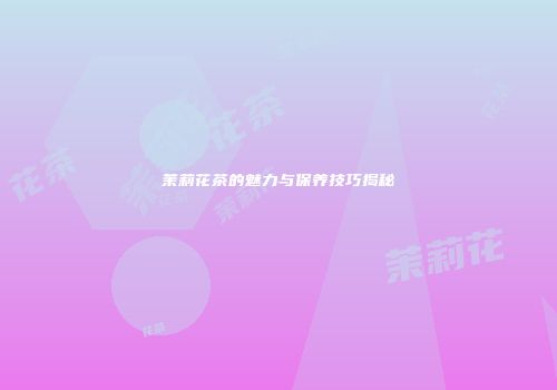 茉莉花茶的魅力与保养技巧揭秘