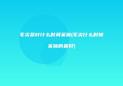 毛尖茶叶什么时间采摘(毛尖什么时候采摘的最好)