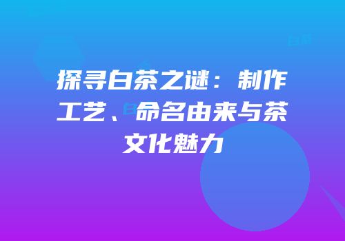 探寻白茶之谜：制作工艺、命名由来与茶文化魅力
