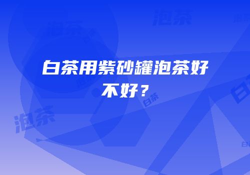 白茶用紫砂罐泡茶好不好？