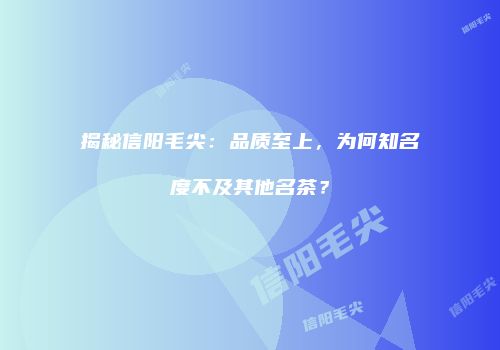 揭秘信阳毛尖：品质至上，为何知名度不及其他名茶？