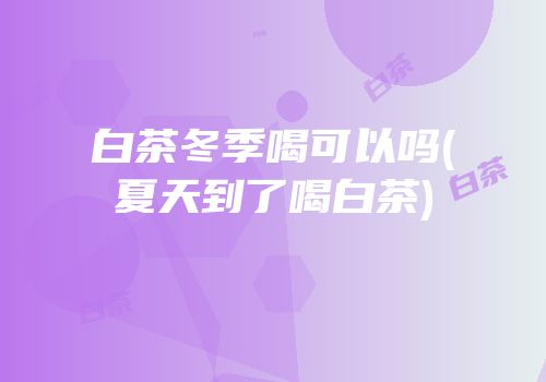 白茶冬季喝可以吗(夏天到了喝白茶)