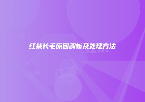 红茶长毛原因解析及处理方法