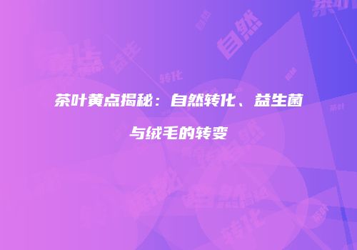 茶叶黄点揭秘：自然转化、益生菌与绒毛的转变