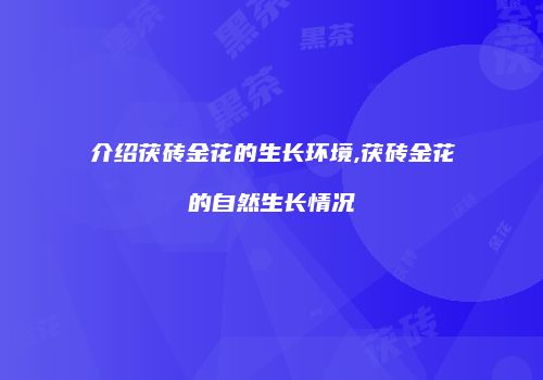 介绍茯砖金花的生长环境,茯砖金花的自然生长情况