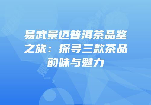 易武景迈普洱茶品鉴之旅：探寻三款茶品韵味与魅力