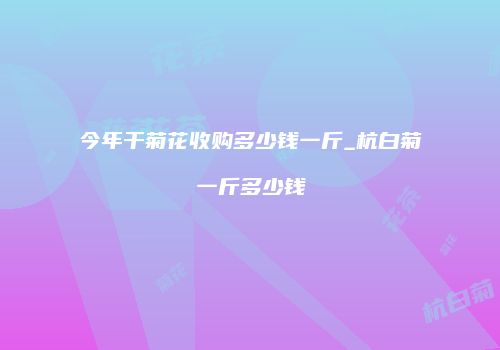 今年干菊花收购多少钱一斤_杭白菊一斤多少钱