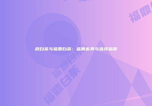 政白茶与福鼎白茶：品质差异与选择指南