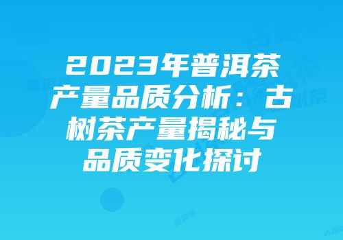 2023年普洱茶产量品质分析：古树茶产量揭秘与品质变化探讨