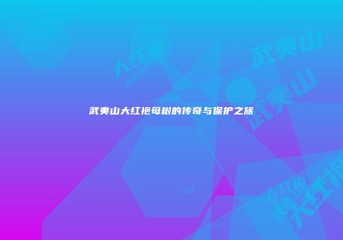 武夷山大红袍母树的传奇与保护之旅