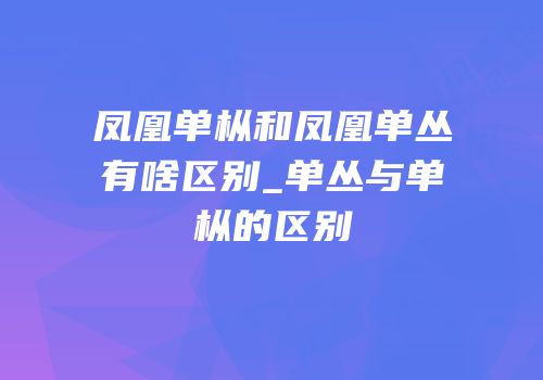 凤凰单枞和凤凰单丛有啥区别_单丛与单枞的区别