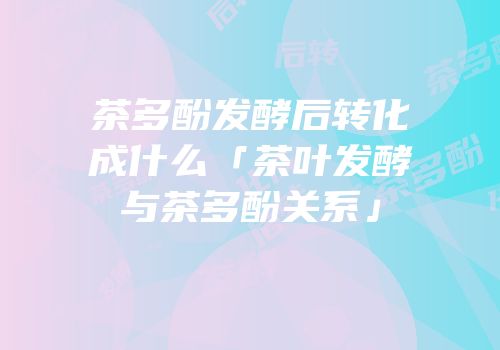 茶多酚发酵后转化成什么「茶叶发酵与茶多酚关系」