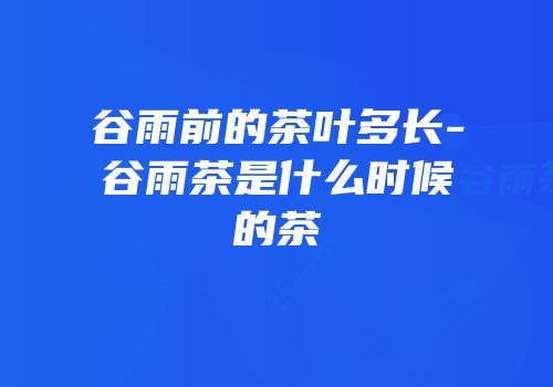 谷雨前的茶叶多长-谷雨茶是什么时候的茶