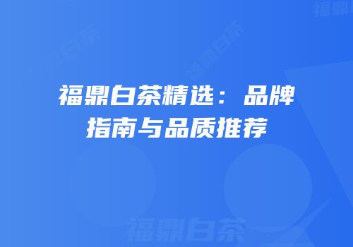 福鼎白茶精选：品牌指南与品质推荐