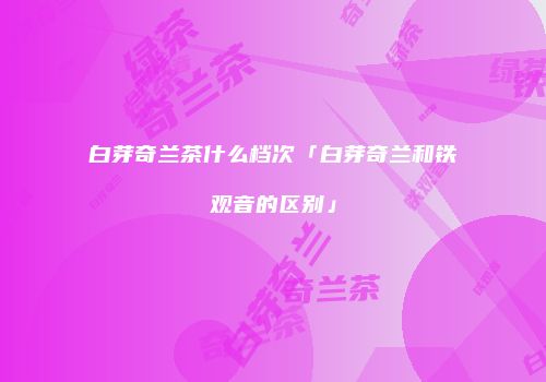 白芽奇兰茶什么档次「白芽奇兰和铁观音的区别」