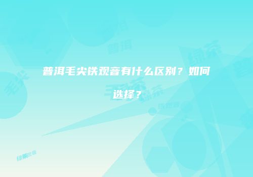 普洱毛尖铁观音有什么区别？如何选择？