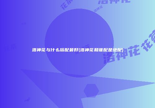 洛神花与什么搭配最好(洛神花和谁配是绝配)