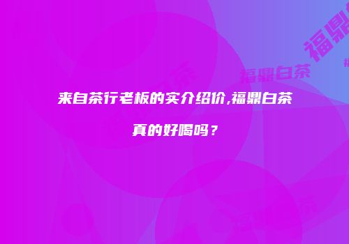 来自茶行老板的实介绍价,福鼎白茶真的好喝吗？