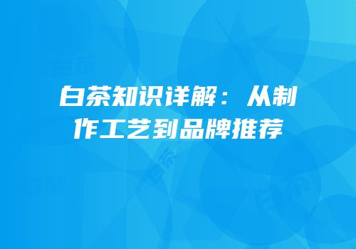 白茶知识详解：从制作工艺到品牌推荐