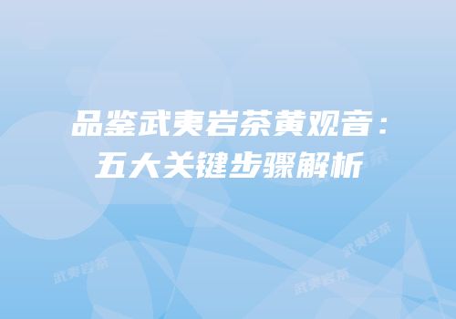 品鉴武夷岩茶黄观音：五大关键步骤解析