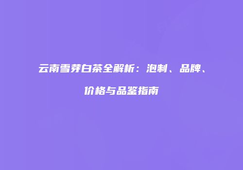 云南雪芽白茶全解析：泡制、品牌、价格与品鉴指南