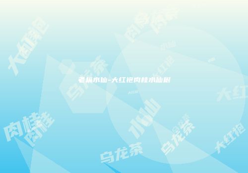 老枞水仙-大红袍肉桂水仙树
