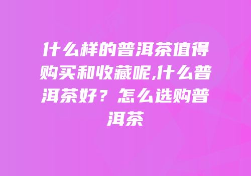 什么样的普洱茶值得购买和收藏呢,什么普洱茶好？怎么选购普洱茶